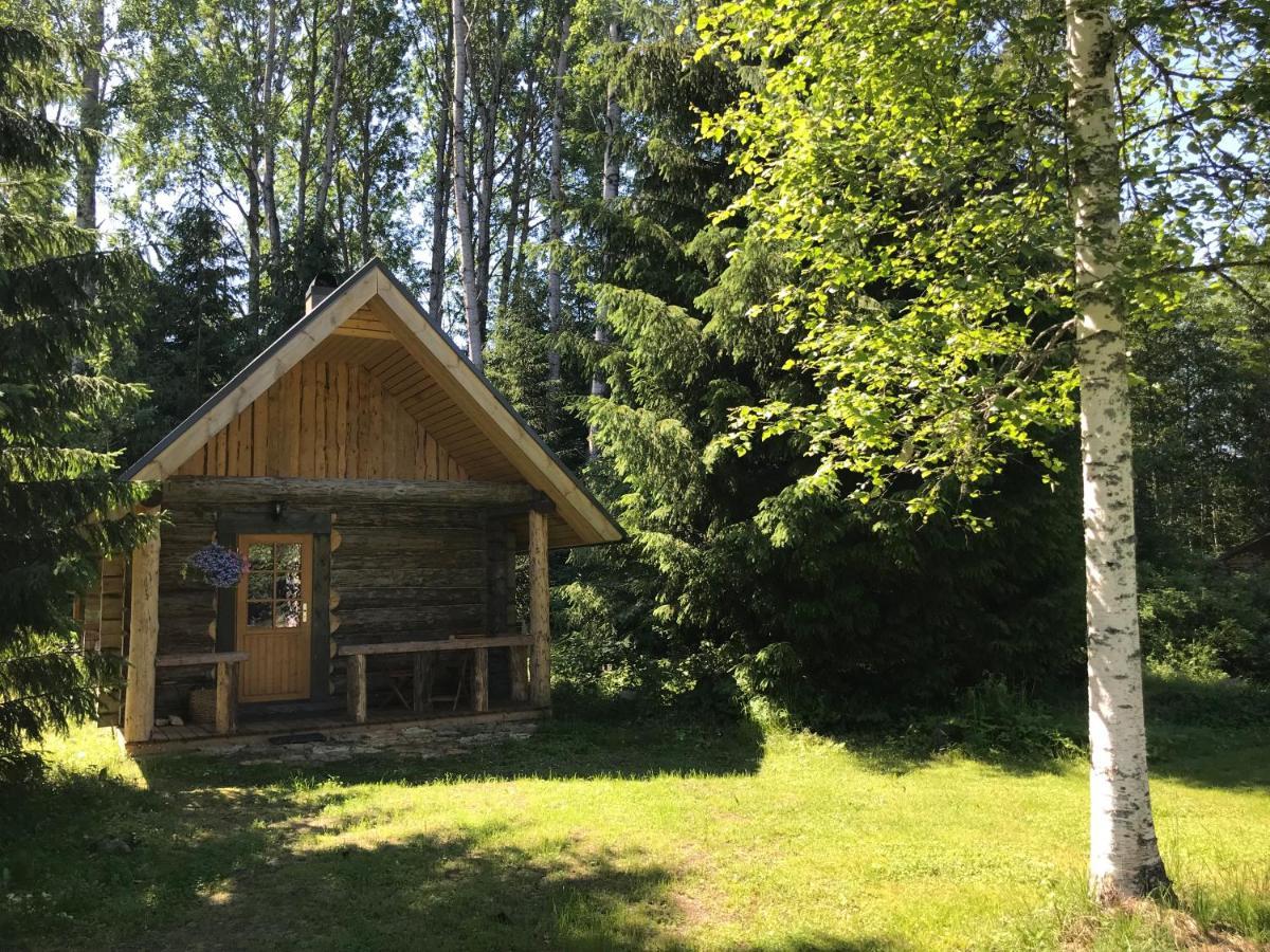 Haaviku Nature Cottage Tepelvalja Eksteriør billede