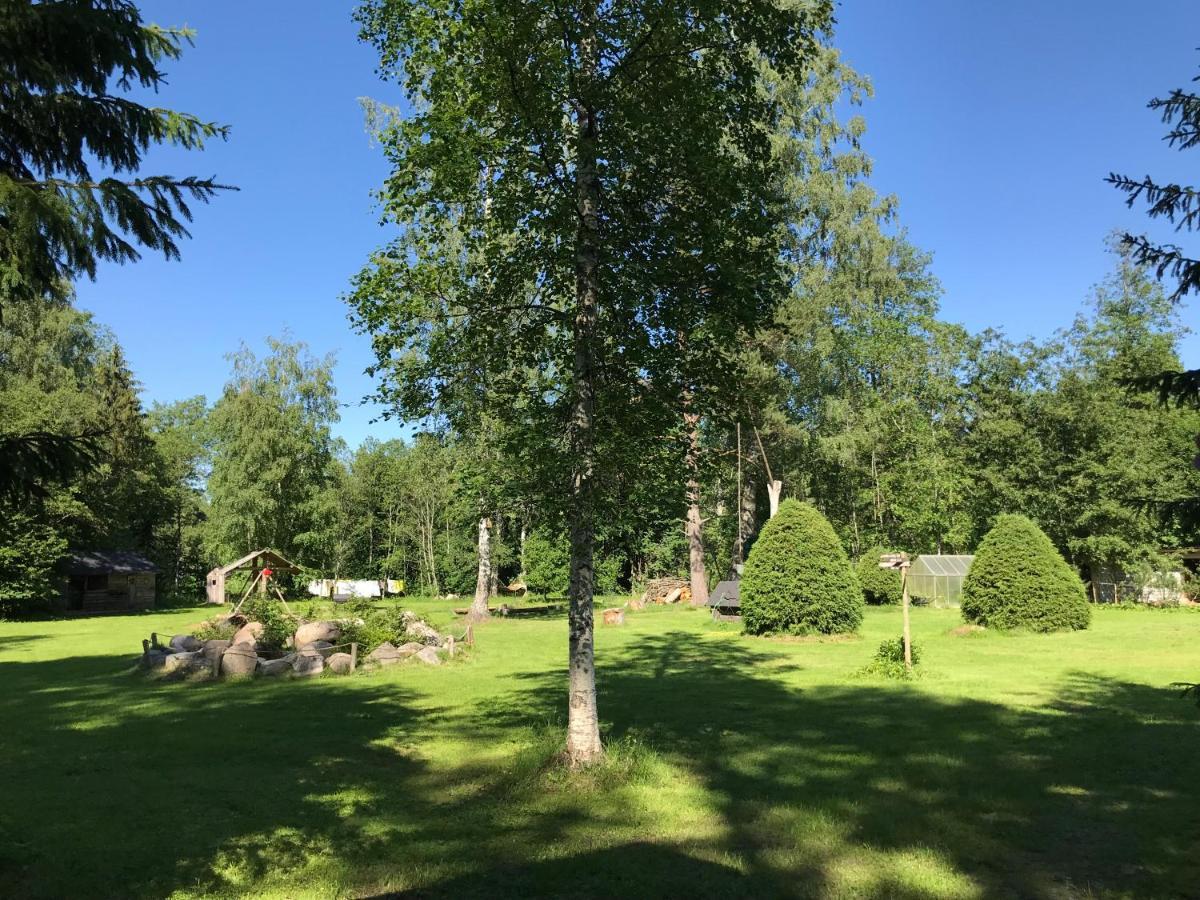 Haaviku Nature Cottage Tepelvalja Eksteriør billede