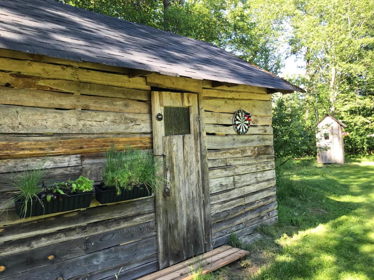 Haaviku Nature Cottage Tepelvalja Eksteriør billede