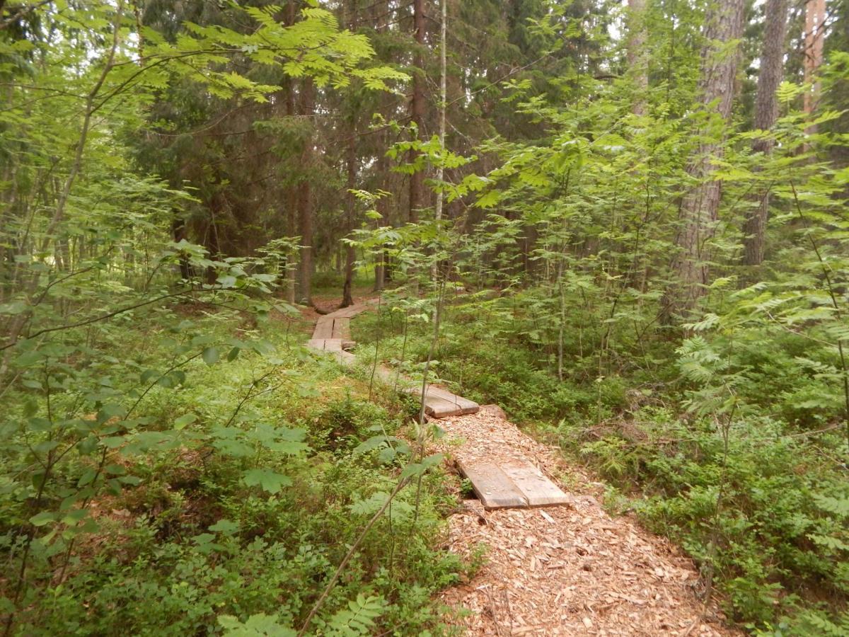 Haaviku Nature Cottage Tepelvalja Eksteriør billede