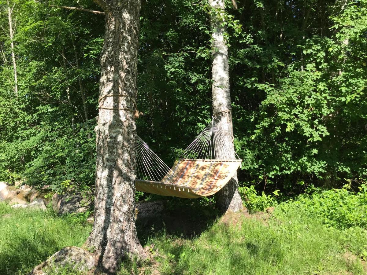 Haaviku Nature Cottage Tepelvalja Eksteriør billede